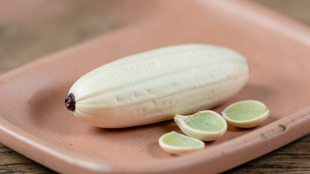 What’s Inside a Pumpkin Seed: Edible Parts and Health Benefits Explained